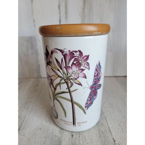 Botanic garden Amaryllis Reginae Mexican Lily large jar - Picture 2 of 12